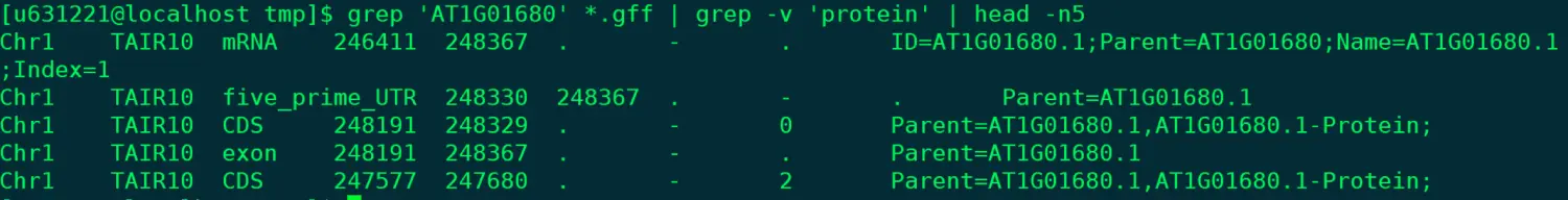 grep_2.png