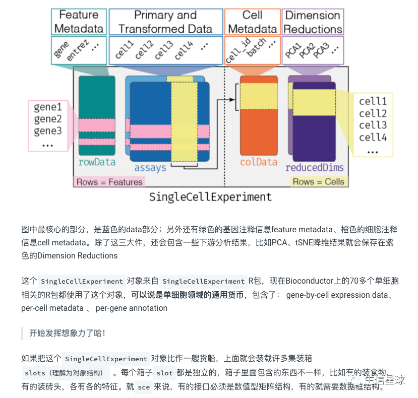 来自《单细胞交响乐》