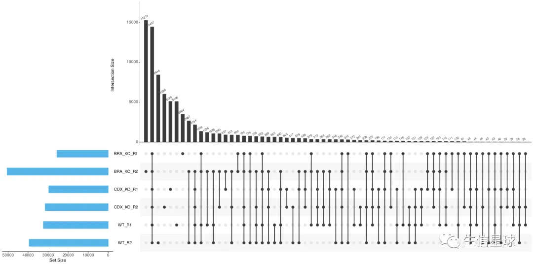 r_upsetr_intersect_plot