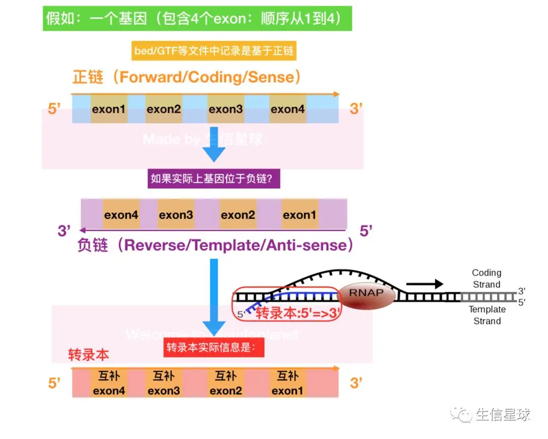 精心制作