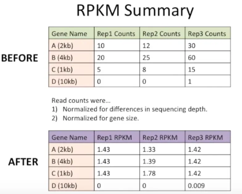 RPKM前后对比