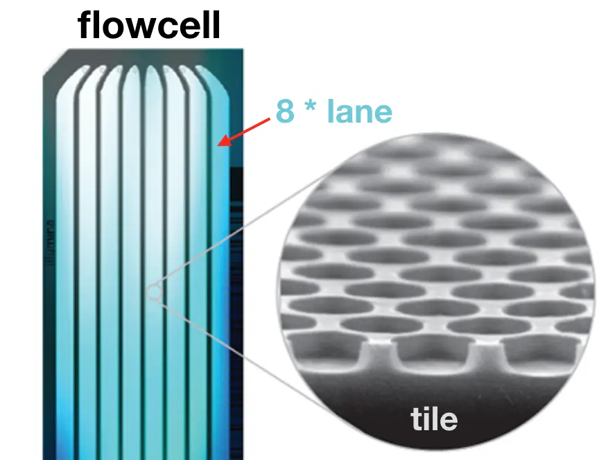 flowcell.png