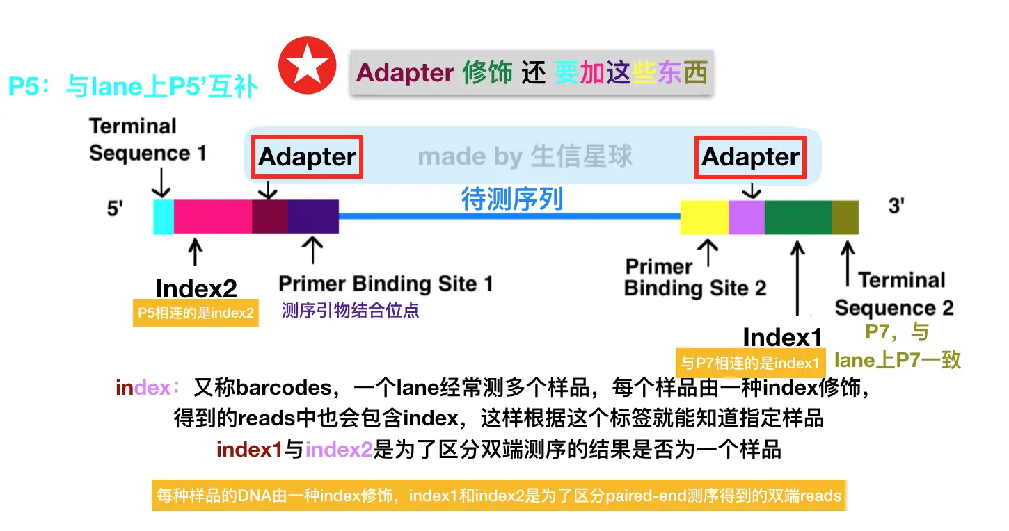 Adapter修饰