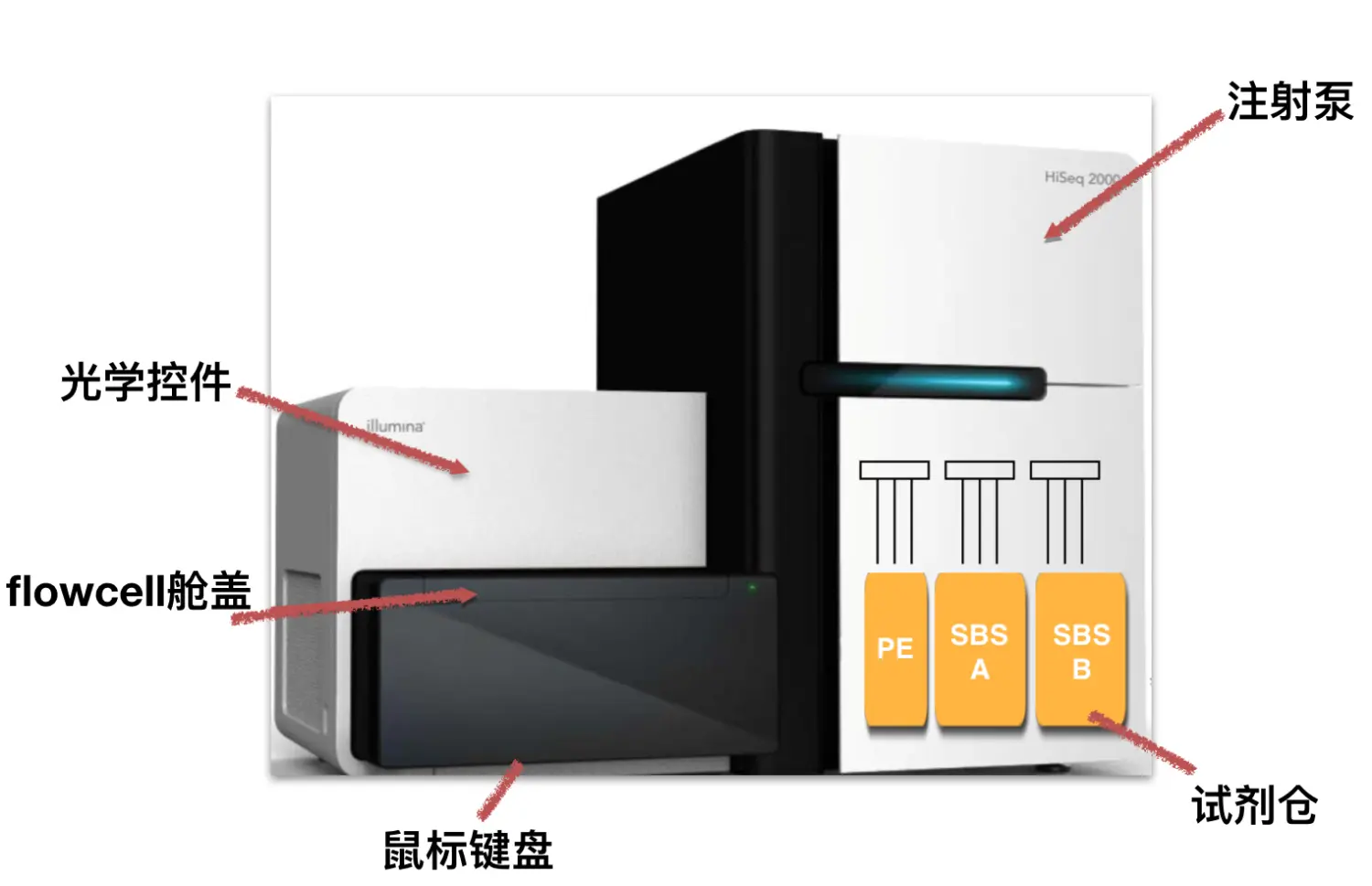 Hiseq 2000测序仪